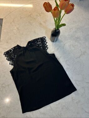 Express High Neck Sheer Lace Sleeves Blouse